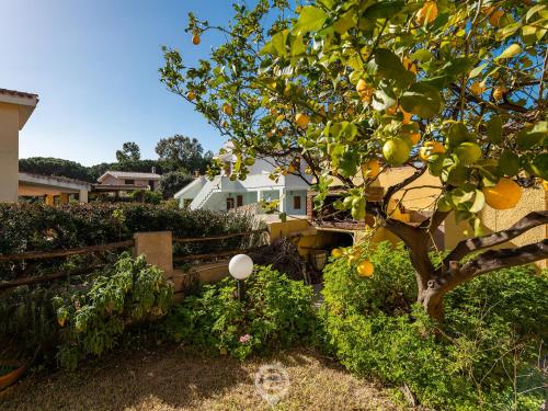 Villa Maria Luisa 5