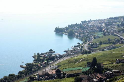 Appartement de standing dans le Lavaux