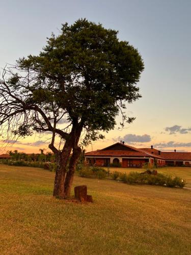 特诺迪帕克酒店