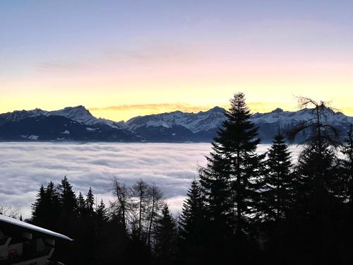 Angelo Aparts Torgon Portes du Soleil Les Crêtes - Apartment - Torgon