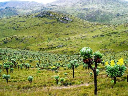 Maverick Camp, Rondavels and Homestay in Nakuru