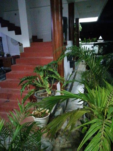 Dive beach palace – Trincomalee, GA