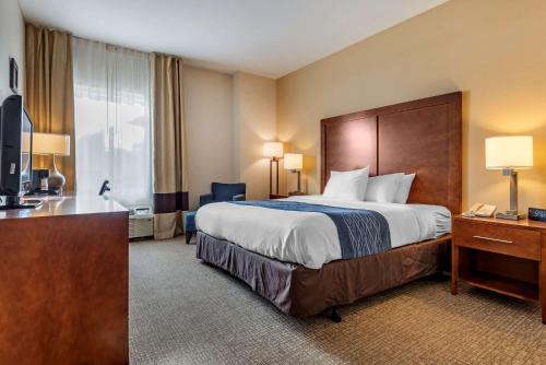 Comfort Inn Apalachin - Binghamton W Route 17