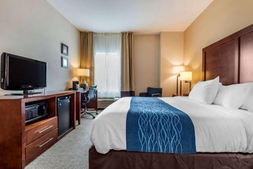 1 king bed