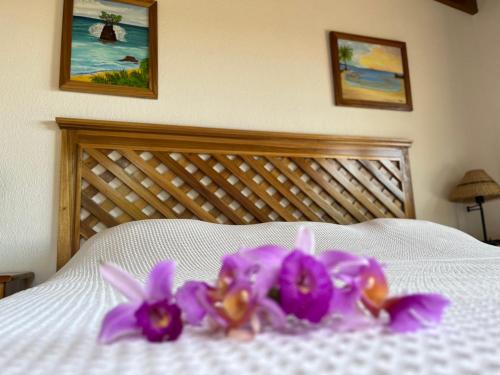 Hotel Los Cielos Del Caribe – Cahuita, LA