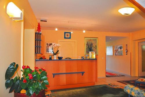  Apartments Birkenhof D briach am Millst tter See in Döbriach