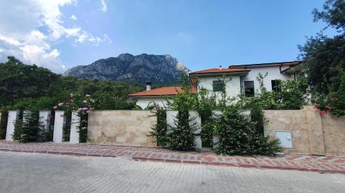 Citrus garden House