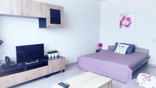 Apartments on Rossiyskaya - image 14