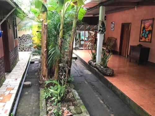 Hostal Así es mi Tierra (Hostal Asi es mi Tierra) in 巴尔盖
