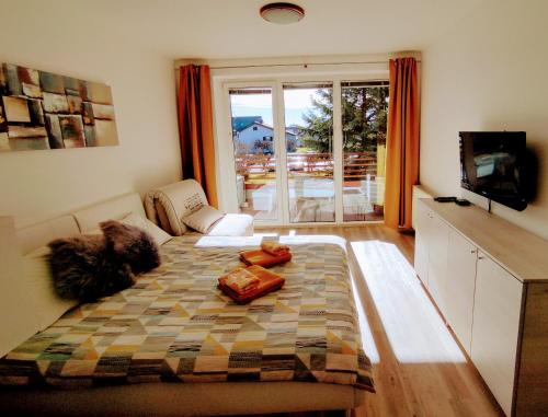 共用Lounge/電視區, Apartma MAX in 摩拉瓦河溫泉