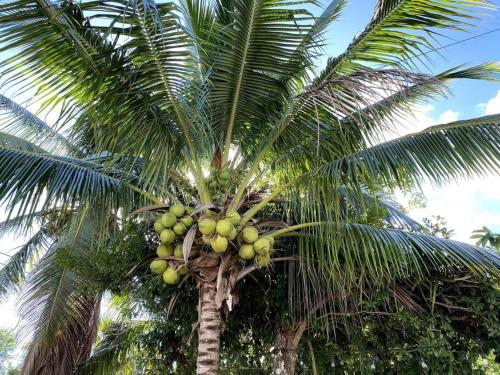 Casa confortable y espaciosa con alberca privada, Cancún (photo 8)