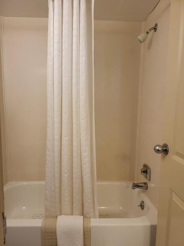 Capes Hotel - image 10