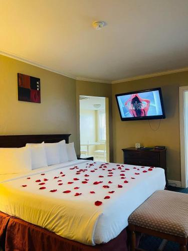 Senate Luxury Suites - image 12