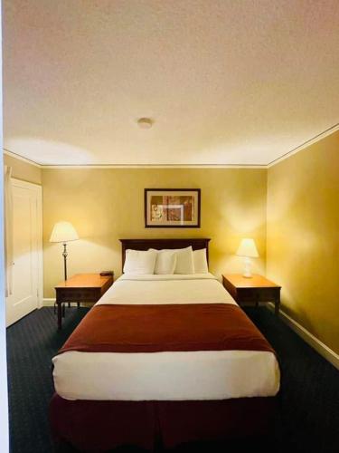 Senate Luxury Suites - image 8