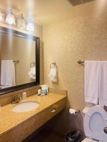 Senate Luxury Suites - image 6