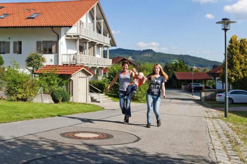 Holiday flats Am Weberfeld Bodenmais - DMG04101a-CYB - main image