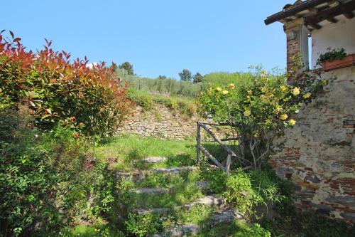 Holiday Home Il Rustico Vicopisano - ITO04031-F - main image