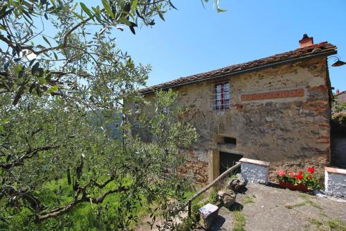 Holiday Home Il Rustico Vicopisano - ITO04031-F - image 7