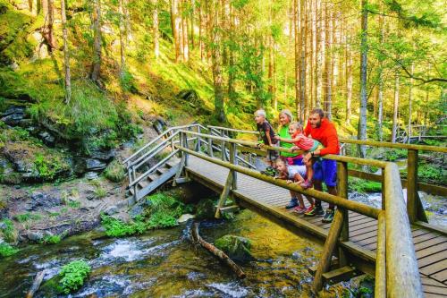 Holiday village Naturpark Chalets St- Lambrecht - OSM01100b-TYB - image 2