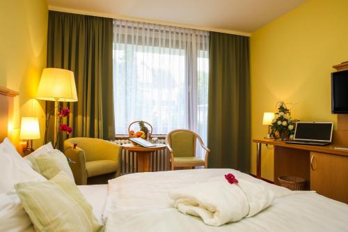 Komforthotel & Restaurant Riemann, Bad Lauterberg (foto 2)