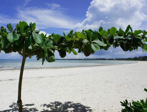 Pongwe Bay Resort