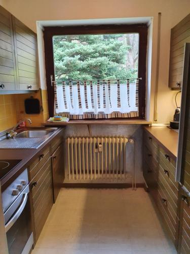 Schöne Ferienwohnung in Lautenthal im Harz (Schone Ferienwohnung in Lautenthal im Harz) in 蘭格爾斯海姆