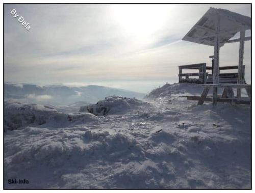 Stara Planina Vila Vesela kuca