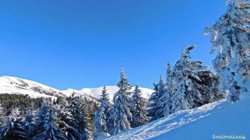 Stara Planina Vila Vesela kuca