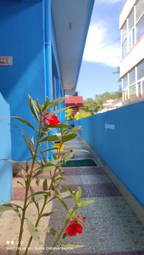 City stay Madikeri