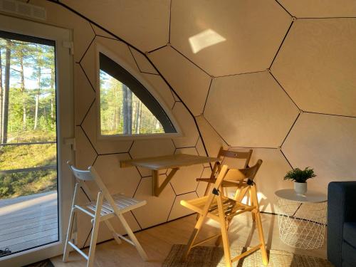 Pokemaja Nõva männimetsas Pokemaja Nõva männimetsas