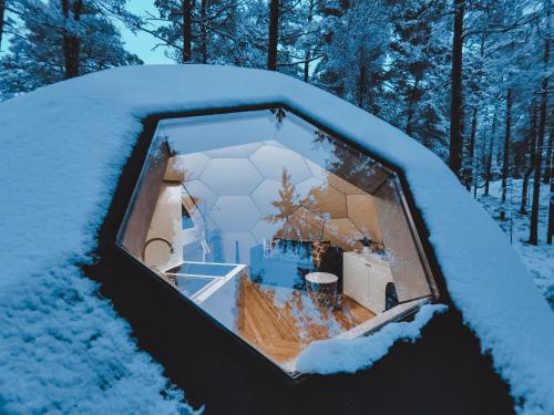 Pokemaja Nõva männimetsas Pokemaja Nõva männimetsas