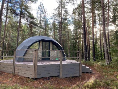 Pokemaja Nõva männimetsas Pokemaja Nõva männimetsas