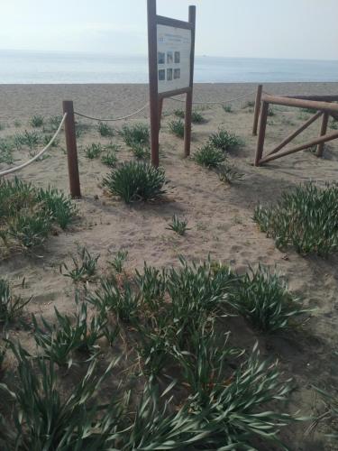  Suites Beach Nature in Vélez-Málaga