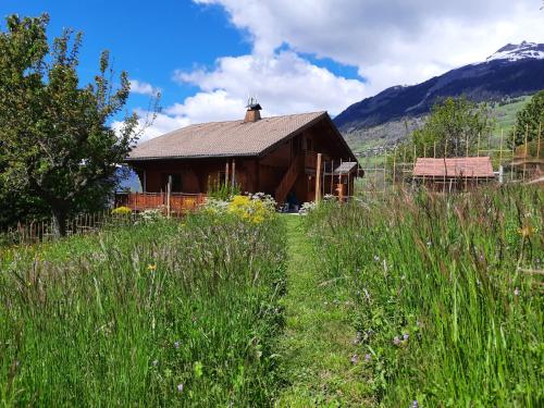 Chalet Le Paradou - image 14