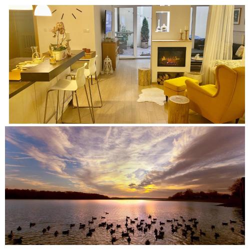 Dum u lazni Federer in Trebon