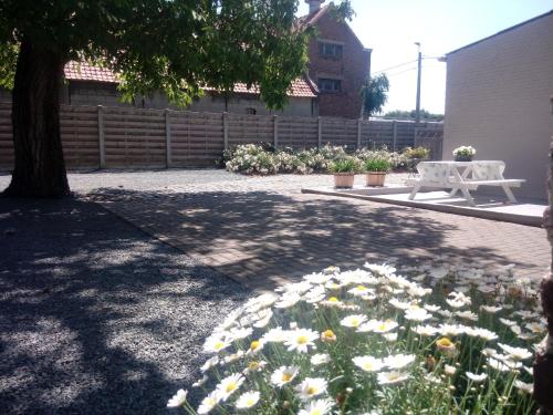 Jardín, Natuurschoon Vakantiewoning Moorsel in Aalst