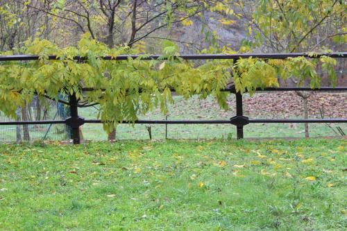 Era del Cinghiale Bianco, intera cascina nel Parco di Piana Crixia