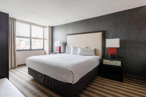 King 1 Bedroom Apartment