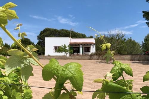 Casitas Rurales Sa Barda – Playa Mitjorn, NJ