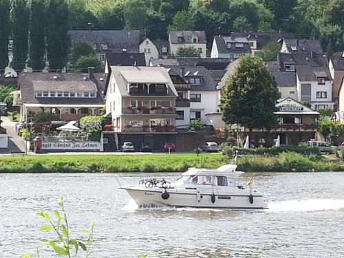 Ferienhaus An der Mosel - Apartment - Zell an der Mosel