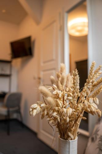 Hotel & Restaurant Am Alten Rhin - image 12