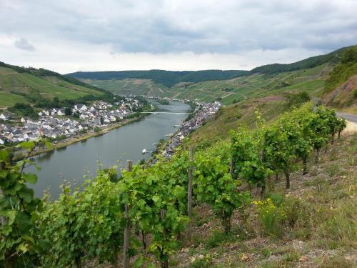 Ferienhaus An der Mosel - image 2