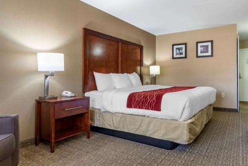 Comfort Inn & Suites Leeds I-20 in Leeds, USA