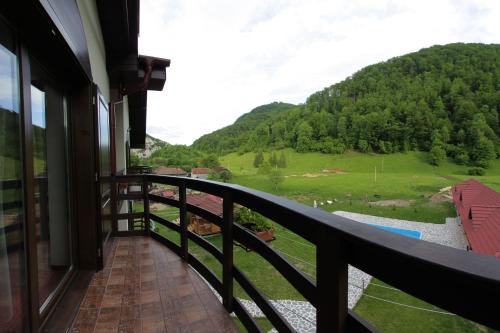 Rõdu/terrass, HOTEL CARPATHIA in Lunca Vişagului