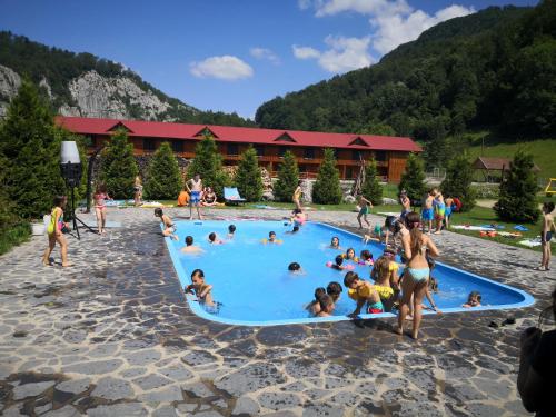 Bassein, HOTEL CARPATHIA in Lunca Vişagului