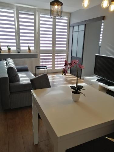 Apartament w Centrum