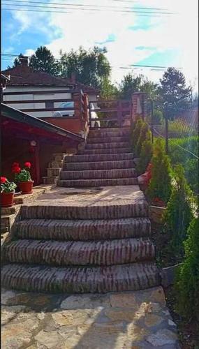 Apartmani Zapis Vrdnik photo