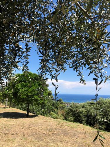 Casale Sant'Ilario gîte à louer Sant'Ilario in Campo