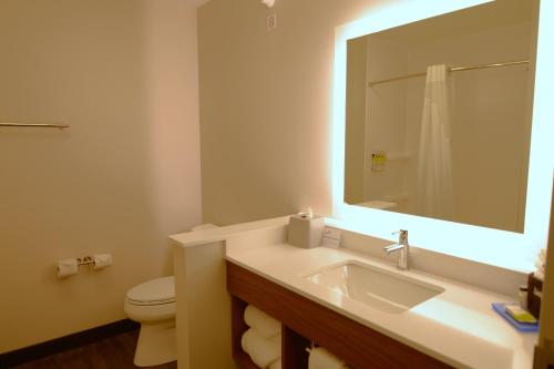 Holiday Inn Express & Suites - Onalaska - La Crosse Area an IHG Hotel - image 13