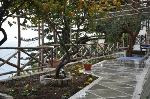Il Monaco Amalfi Dreams - image 11